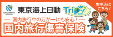 東京海上自動-国内旅行中の万が一にも安心！-国内旅行傷害保険
