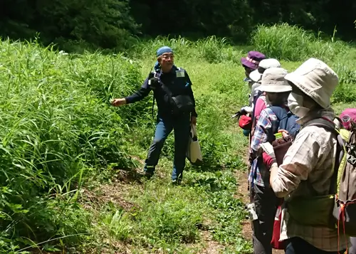 森の案内人と歩く