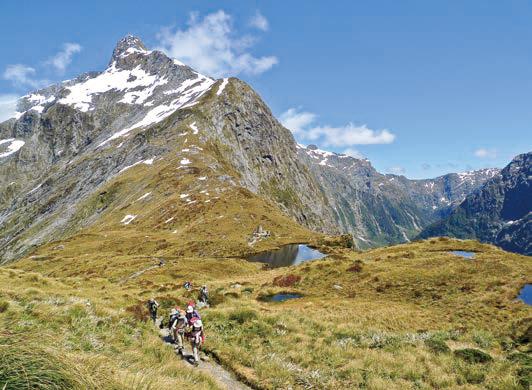 ニュージーランド・スーパー・トレッキング 14日間