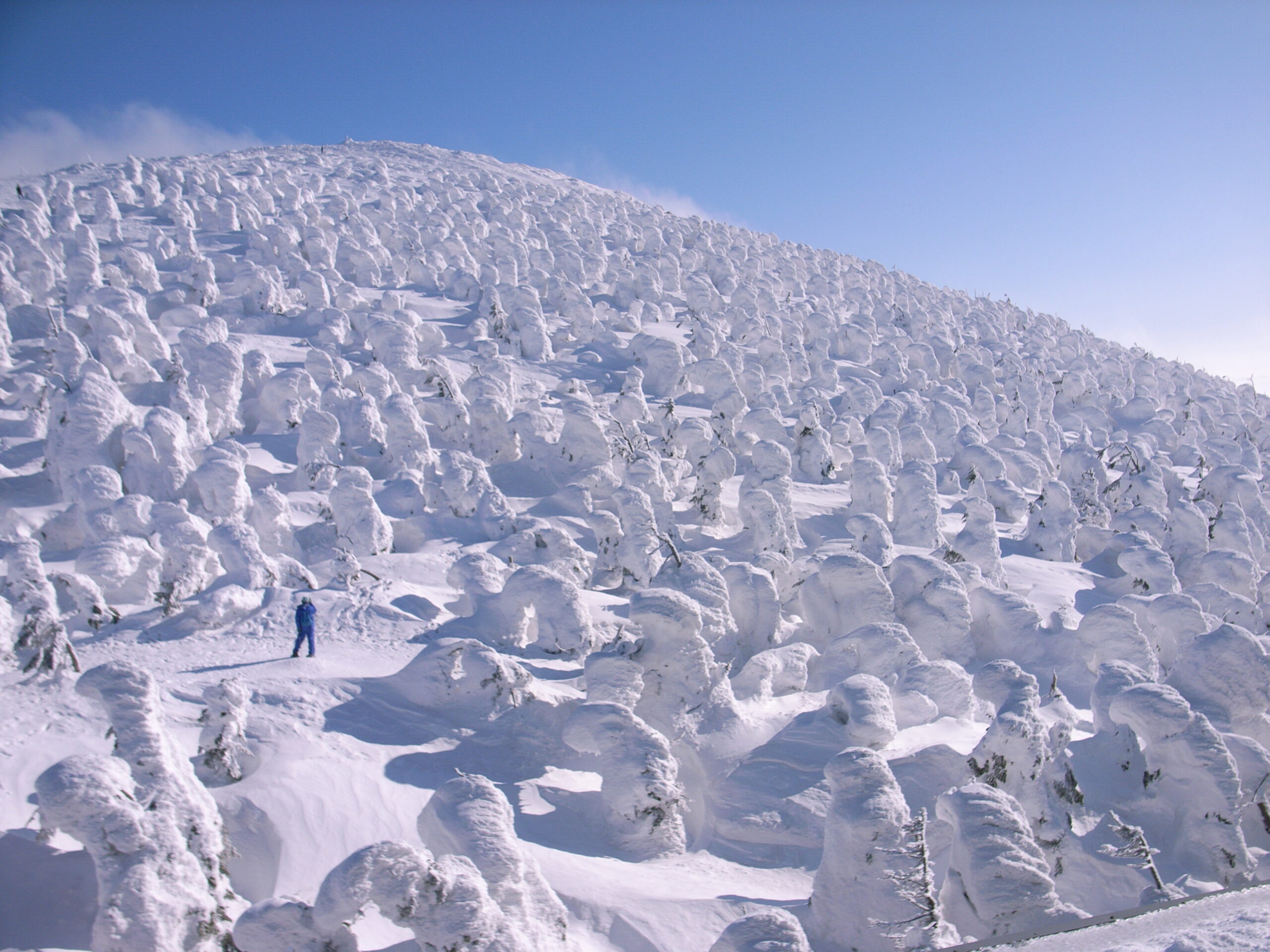 【雪山講習会（入門）】蔵王連峰・熊野岳と西吾妻山＆仙人沢アイスガーデン 3日間