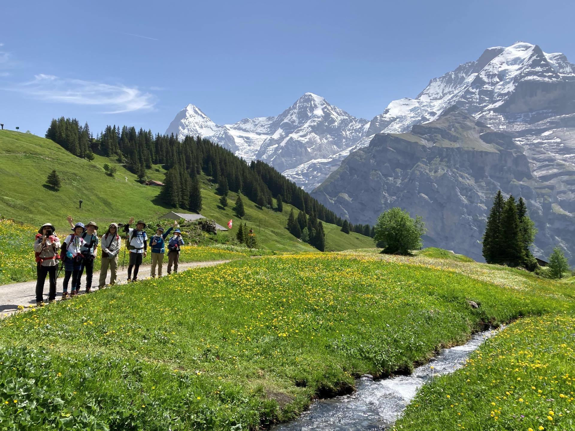 スイス・アルプス・フラワー・ハイキング 9日間