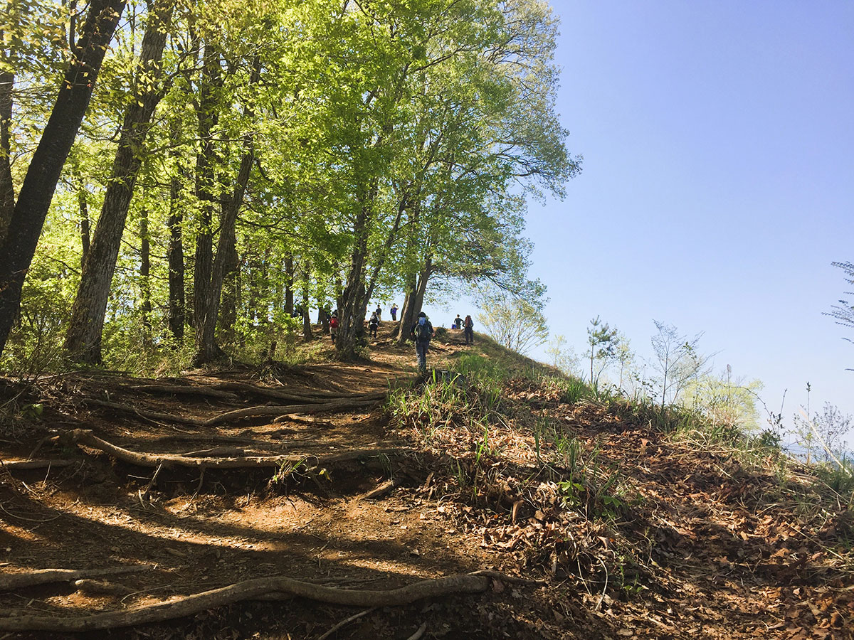 THE NORTH FACE TREKKING