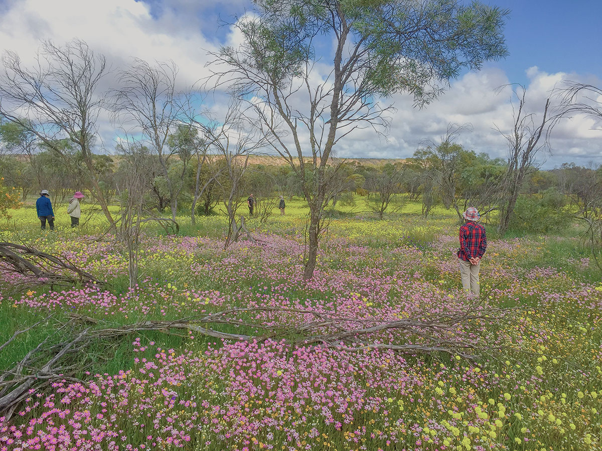 ニュージーランド/オーストラリア