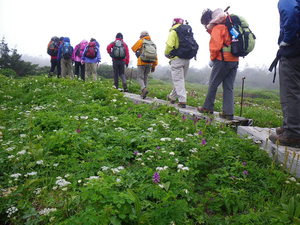 ポレポレ倶楽部