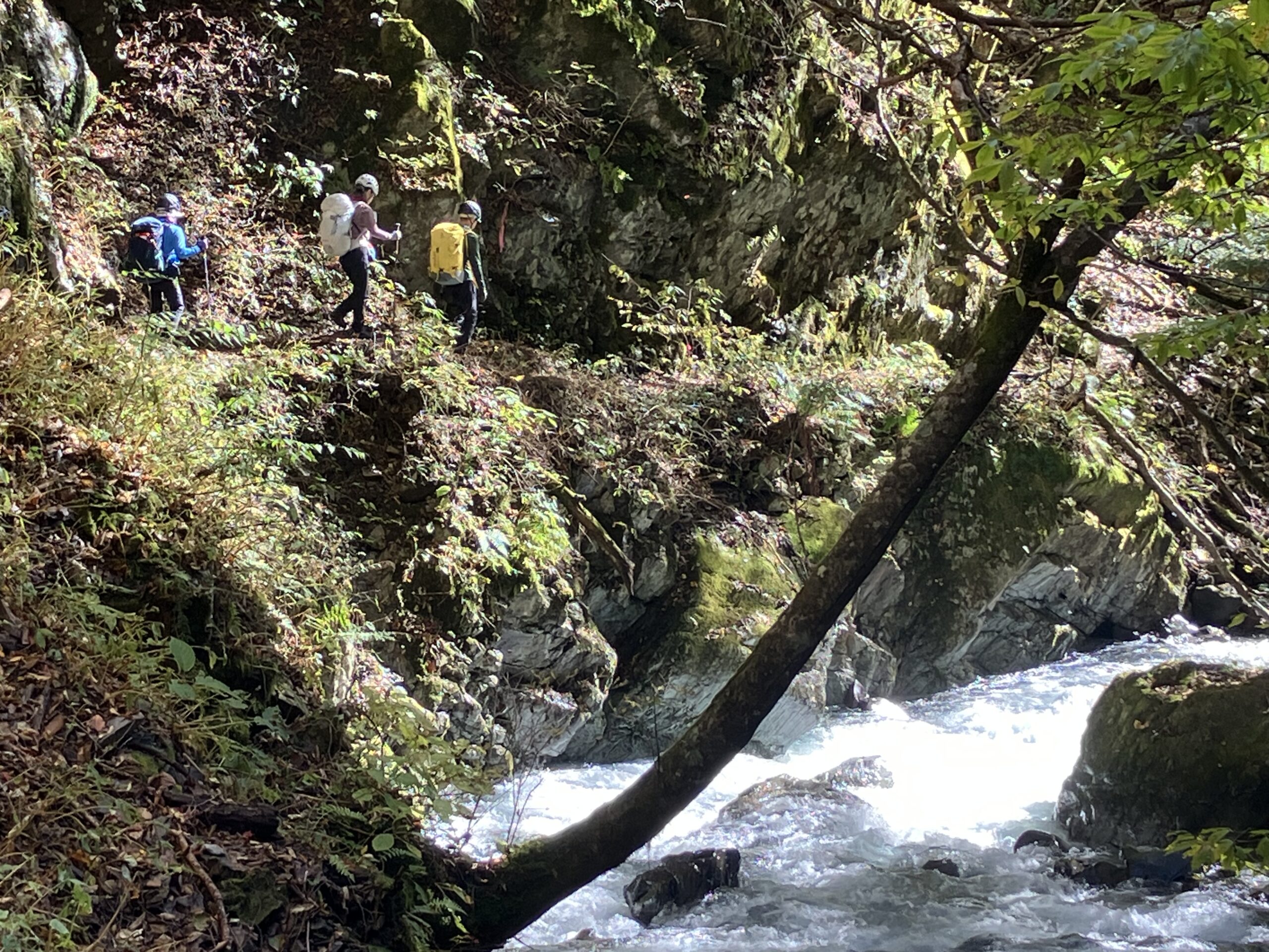 『日本の山』上高地クラシックルート　明神～徳本峠越え～島々宿　2日間