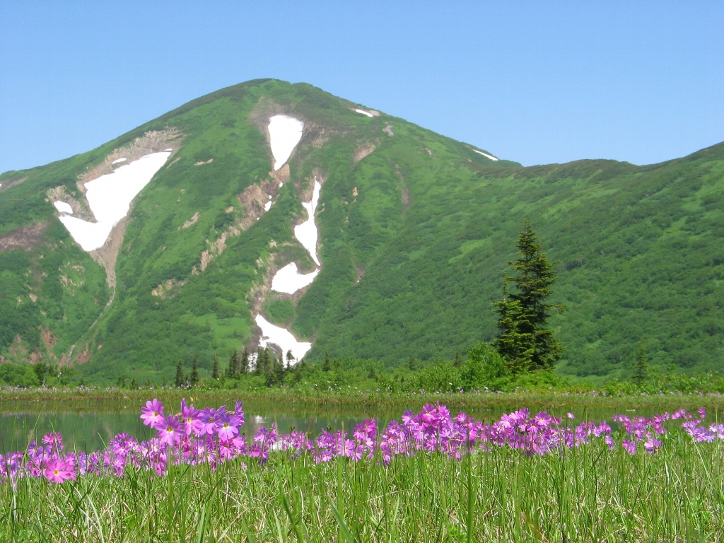 『空見ハイキング』越後の山で天気を学ぶ　高谷池ヒュッテから火打山　2日間
