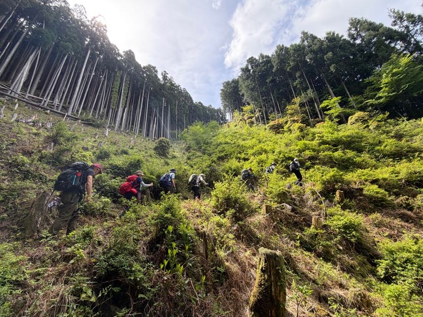 《ロングトレイル倶楽部》熊野古道・小辺路70km　5日間