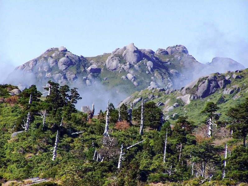 屋久島三岳縦走　宮之浦岳・黒味岳・永田岳　４日間