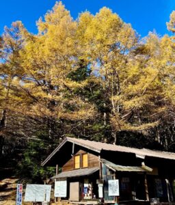 10月10日出発　秋の北八ヶ岳　秘湯 本沢温泉から天狗岳、にゅう、稲子湯　2日間