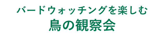 バードウォッチングを楽しむ鳥の観察会